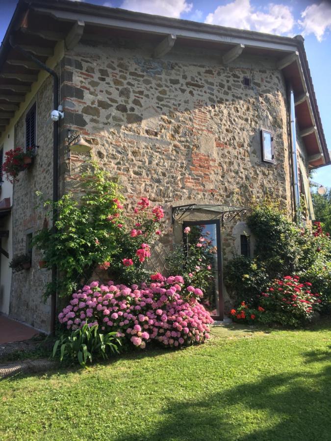 Il Mugello B&B Vicchio Dış mekan fotoğraf