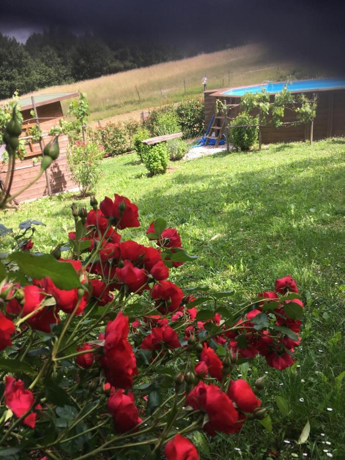 Il Mugello B&B Vicchio Dış mekan fotoğraf