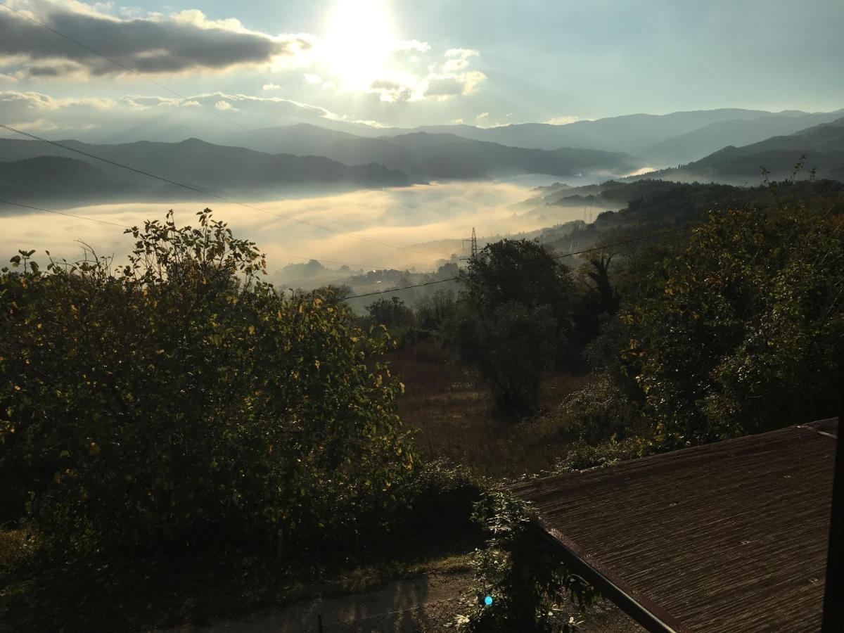 Il Mugello B&B Vicchio Dış mekan fotoğraf