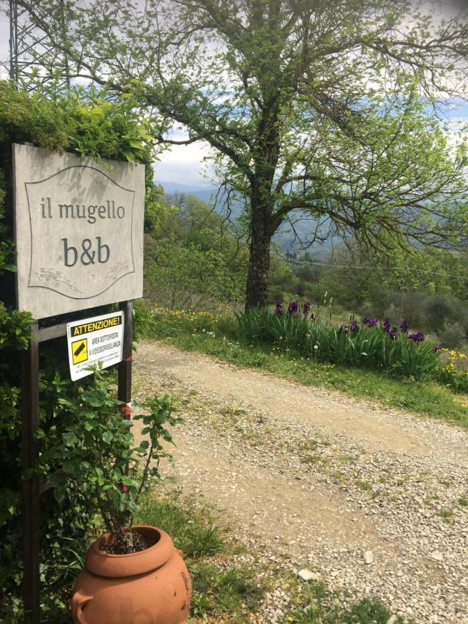 Il Mugello B&B Vicchio Dış mekan fotoğraf