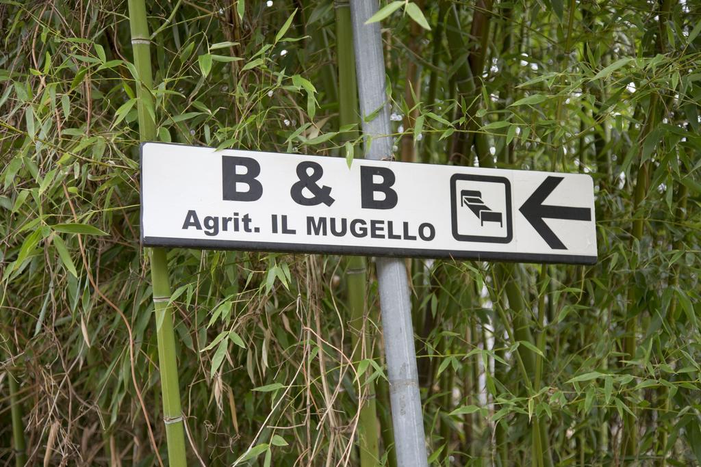 Il Mugello B&B Vicchio Dış mekan fotoğraf