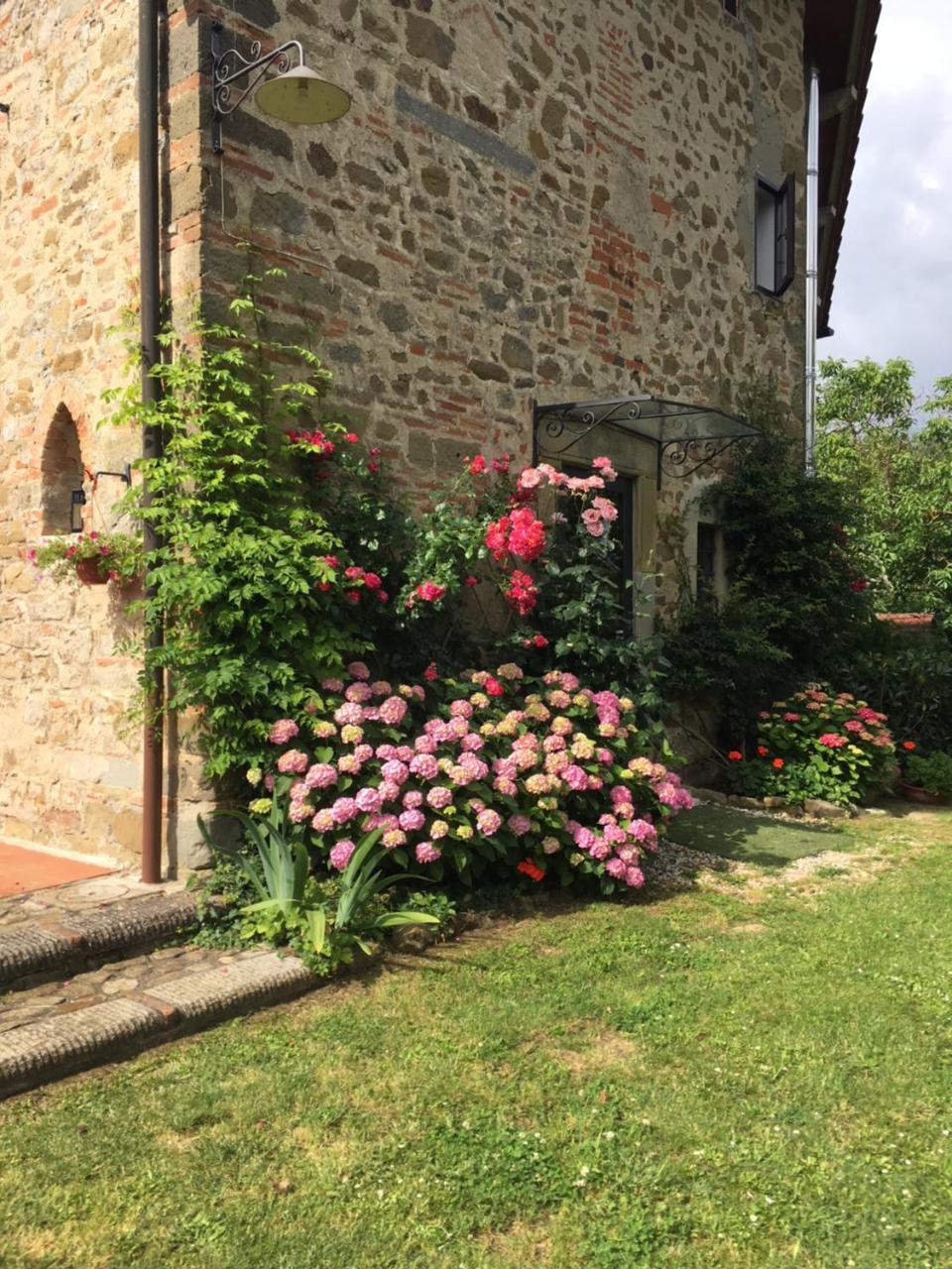 Il Mugello B&B Vicchio Dış mekan fotoğraf