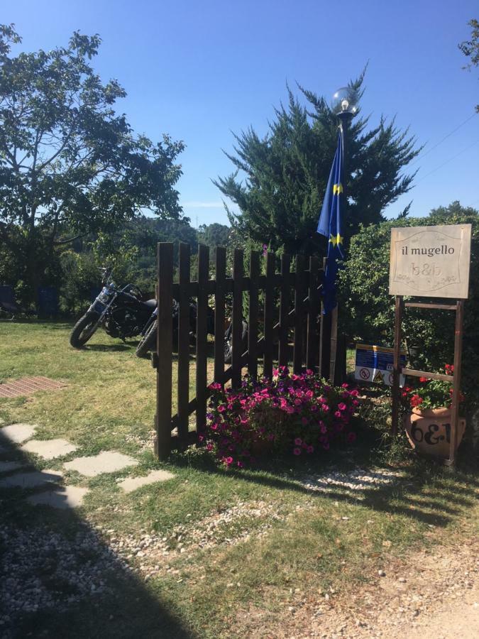 Il Mugello B&B Vicchio Dış mekan fotoğraf